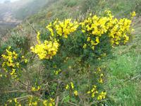 Wanderung von der Bouley Bay zur Rozel Bay