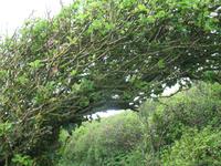 Wanderung von der Bouley Bay zur Rozel Bay