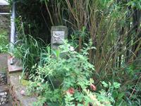 Besuch der Insel Guernsey