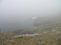 Besuch der Insel Guernsey