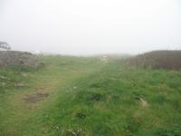 Besuch der Insel Guernsey