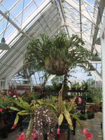 Besuch des Privatgartens der Familie Skinner