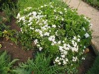 Besuch des Privatgartens der Familie Skinner