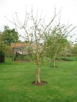 Besuch des Privatgartens der Familie Skinner