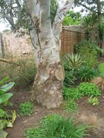 Besuch des Privatgartens der Familie Skinner