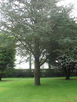 Besuch des Privatgartens der Familie Skinner