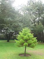 Besuch des Privatgartens der Familie Skinner