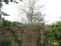 Besuch des Privatgartens der Familie Skinner