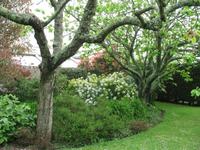 Besuch des Privatgartens der Familie Skinner