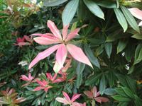 Besuch des Privatgartens der Familie Skinner