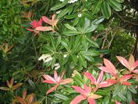 Besuch des Privatgartens der Familie Skinner