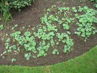 Besuch des Privatgartens der Familie Skinner