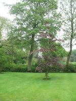 Besuch des Privatgartens der Familie Skinner