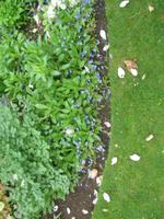 Besuch des Privatgartens der Familie Skinner