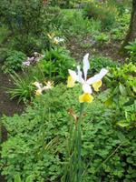 Besuch des Privatgartens der Familie Skinner