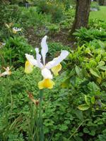 Besuch des Privatgartens der Familie Skinner