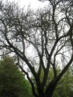 Besuch des Privatgartens der Familie Skinner