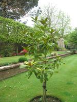 Besuch des Privatgartens der Familie Skinner