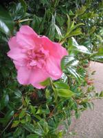 Besuch des Privatgartens der Familie Skinner