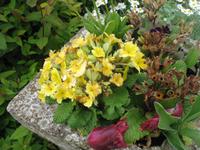 Besuch des Privatgartens der Familie Skinner