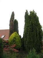 Besuch des Privatgartens der Familie Skinner