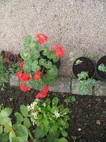 Besuch des Privatgartens der Familie Skinner