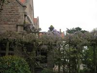 Besuch des Privatgartens der Familie Skinner