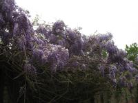 Besuch des Privatgartens der Familie Miles