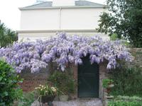 Besuch des Privatgartens der Familie Miles