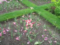 Besuch des Privatgartens der Familie Miles