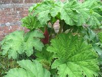 Besuch des Privatgartens der Familie Miles