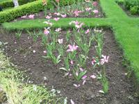 Besuch des Privatgartens der Familie Miles