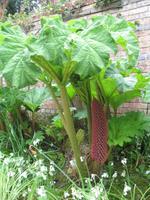 Besuch des Privatgartens der Familie Miles