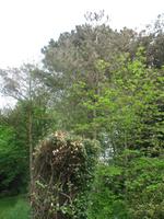 Besuch des Privatgartens der Familie Miles