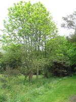 Besuch des Privatgartens der Familie Miles