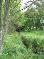 Besuch des Privatgartens der Familie Miles