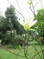 Besuch des Privatgartens der Familie Miles