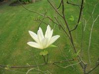 Besuch des Privatgartens der Familie Miles