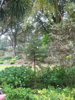 Besuch des Privatgartens der Familie Miles