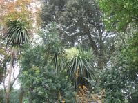 Besuch des Privatgartens der Familie Miles