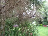 Besuch des Privatgartens der Familie Miles