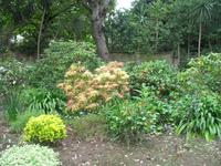 Besuch des Privatgartens der Familie Miles