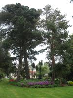 Besuch des Privatgartens der Familie Miles