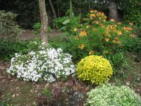 Besuch des Privatgartens der Familie Miles