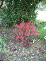 Besuch des Privatgartens der Familie Miles