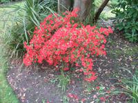 Besuch des Privatgartens der Familie Miles