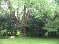 Besuch des Privatgartens der Familie Miles