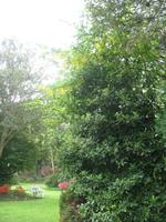 Besuch des Privatgartens der Familie Miles