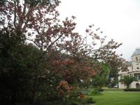 Besuch des Privatgartens der Familie Miles