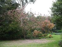 Besuch des Privatgartens der Familie Miles